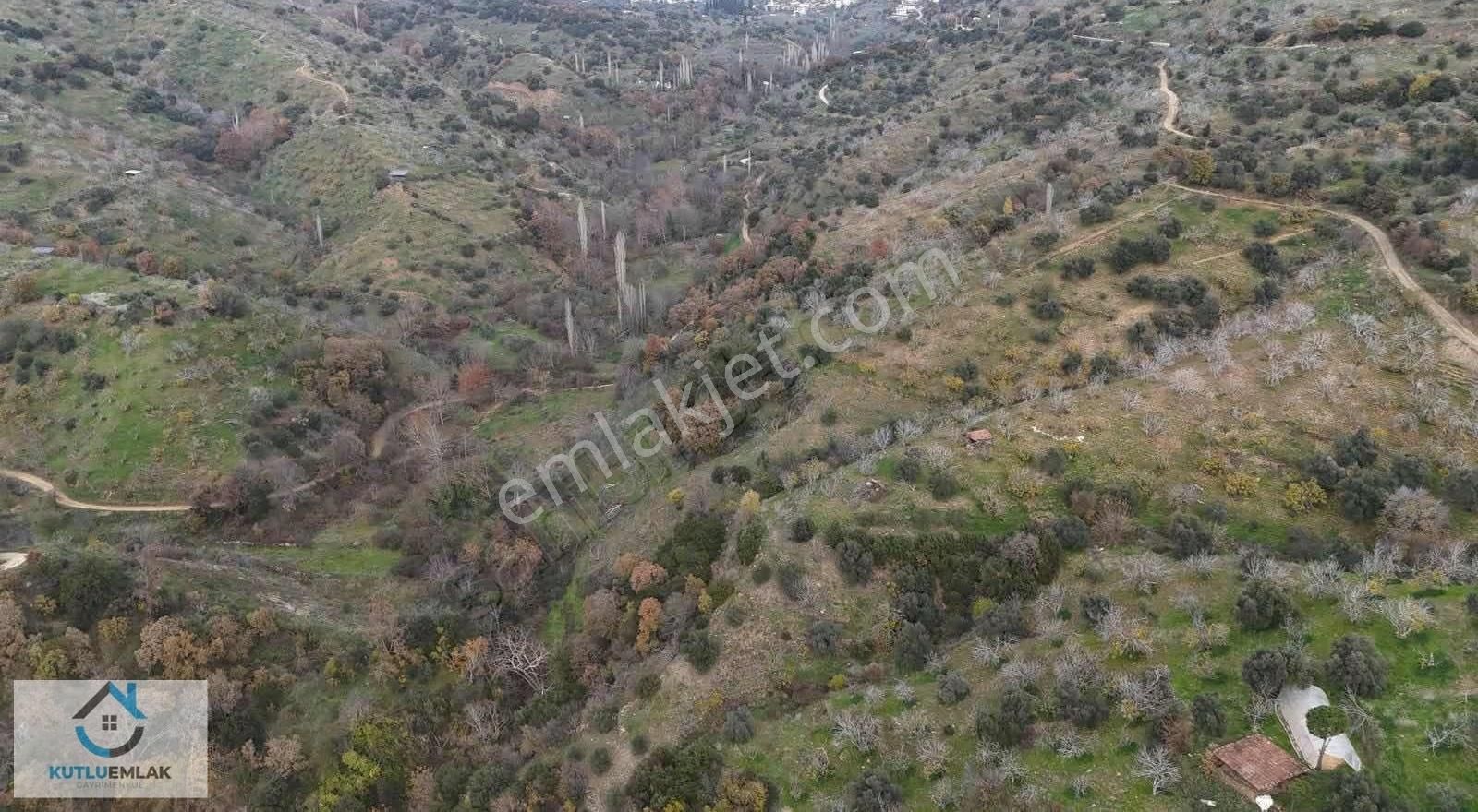 Satılık Uygun Fiyatlı İncir, Zeytin Ve Kestane Bahçeleri - Görsel 2