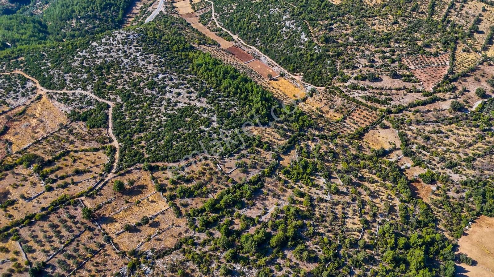Cb Marinadan Menteşe Denizova'da Satılık Tarla - Görsel 8