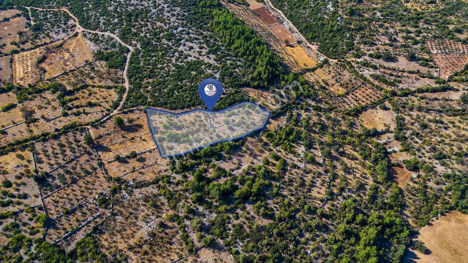 Cb Marinadan Menteşe Denizova'da Satılık Tarla - Görsel 14