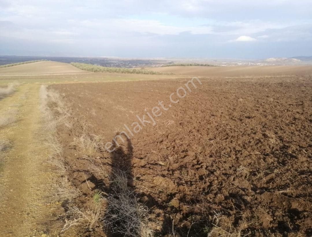 Mustafa Kemalpaşa Çeltikçi De Resmi Yola Cephe 3,316-m2- Tarla - Görsel 5