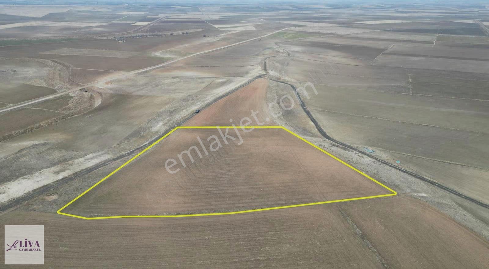 Liva'dan Bünyan Yünören'de 9406 M² Tek Tapu Tarla - Görsel 2