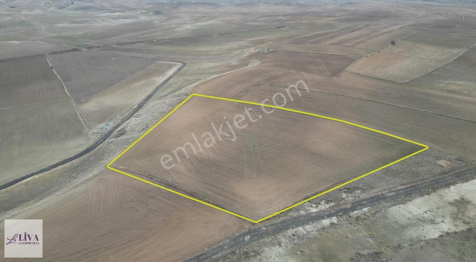 Liva'dan Bünyan Yünören'de 9406 M² Tek Tapu Tarla - Görsel 8