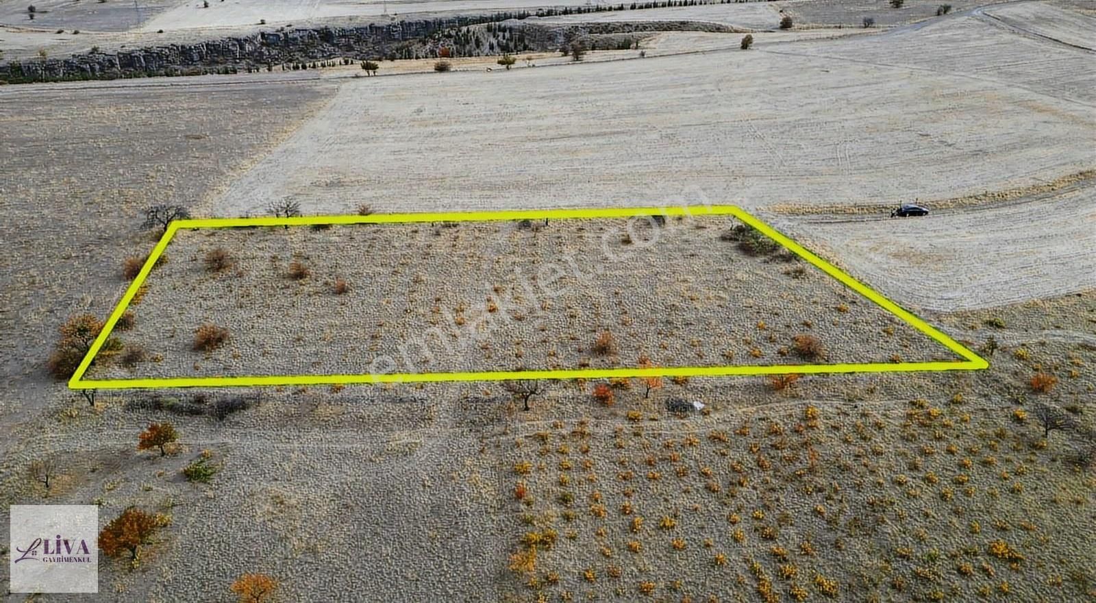Liva'dan Reşadiye'de 1845 M² Bağ - Görsel 10