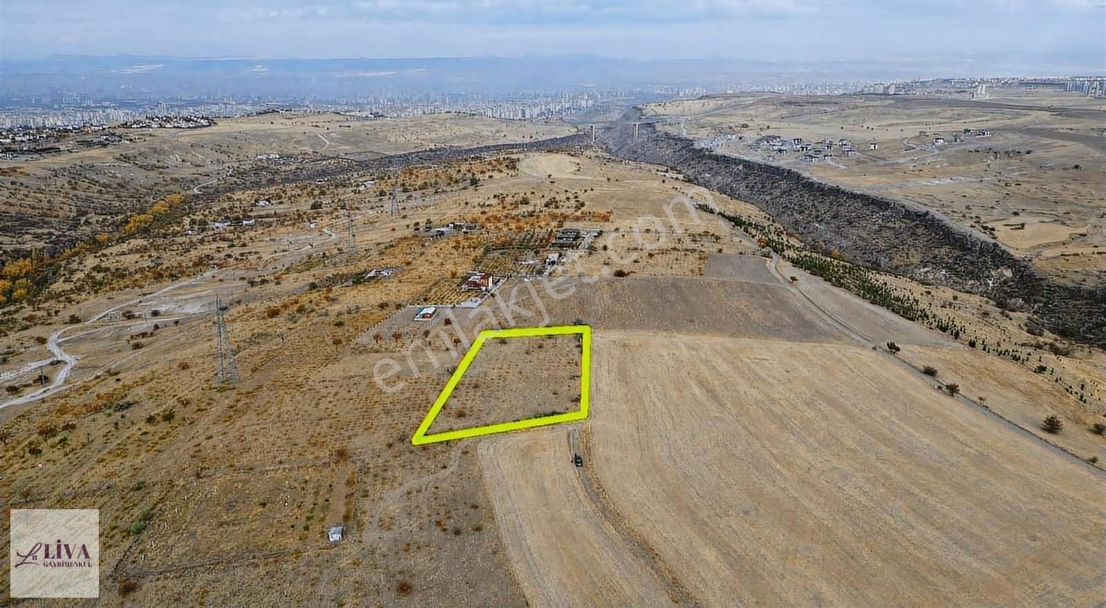 Liva'dan Reşadiye'de 1845 M² Bağ - Görsel 9