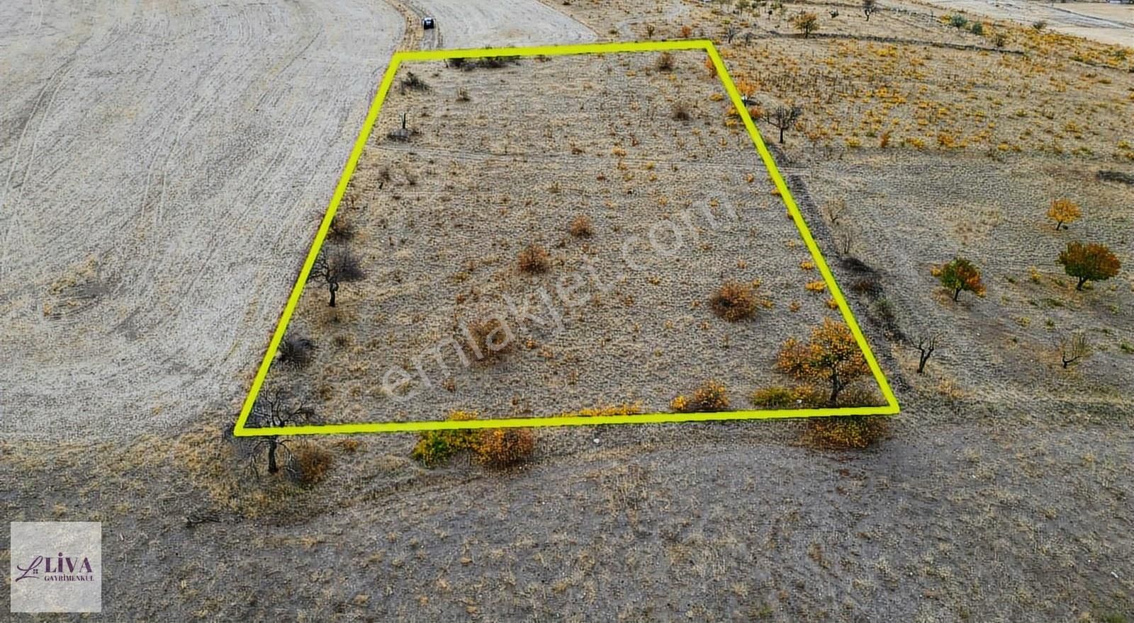 Liva'dan Reşadiye'de 1845 M² Bağ