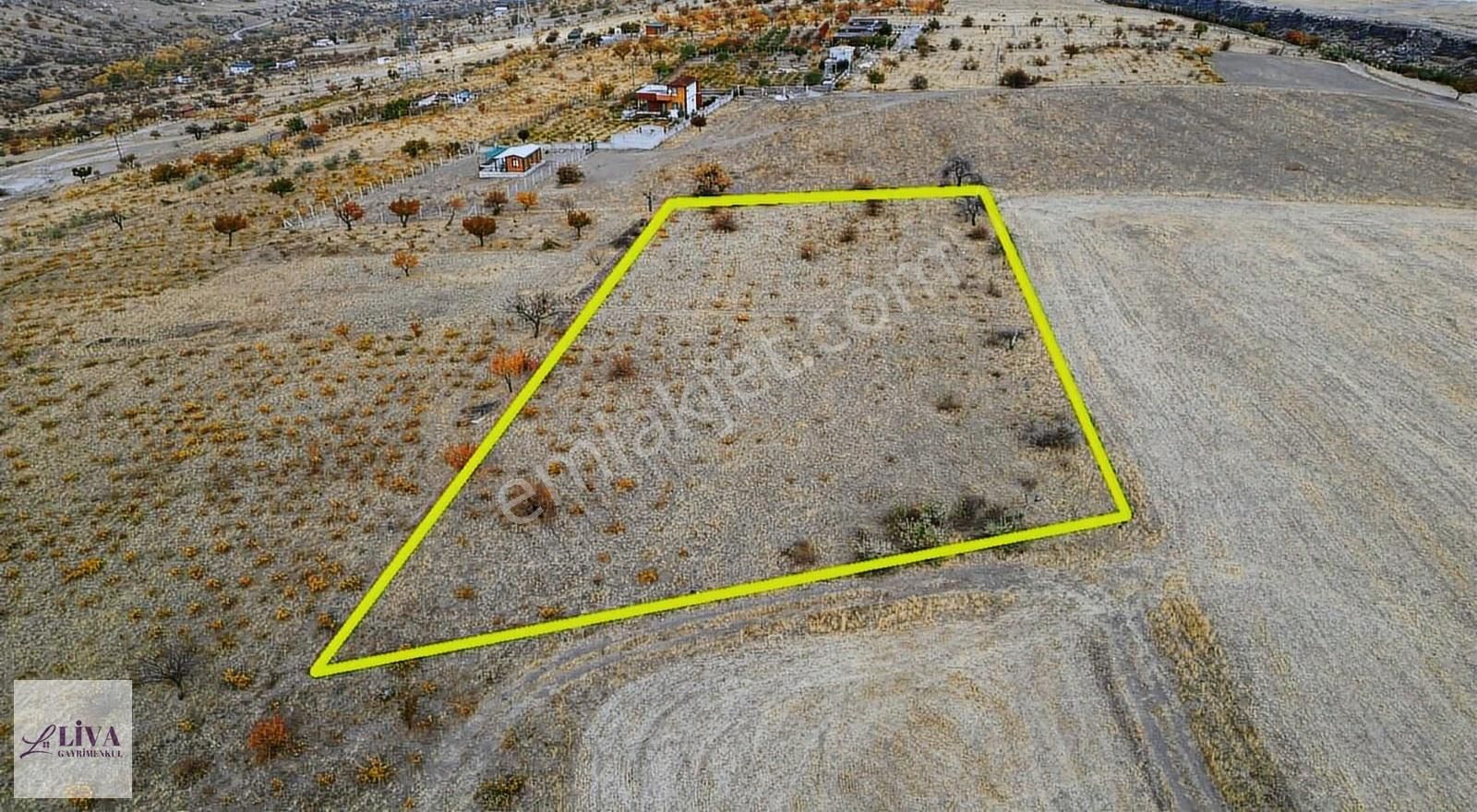 Liva'dan Reşadiye'de 1845 M² Bağ - Görsel 8