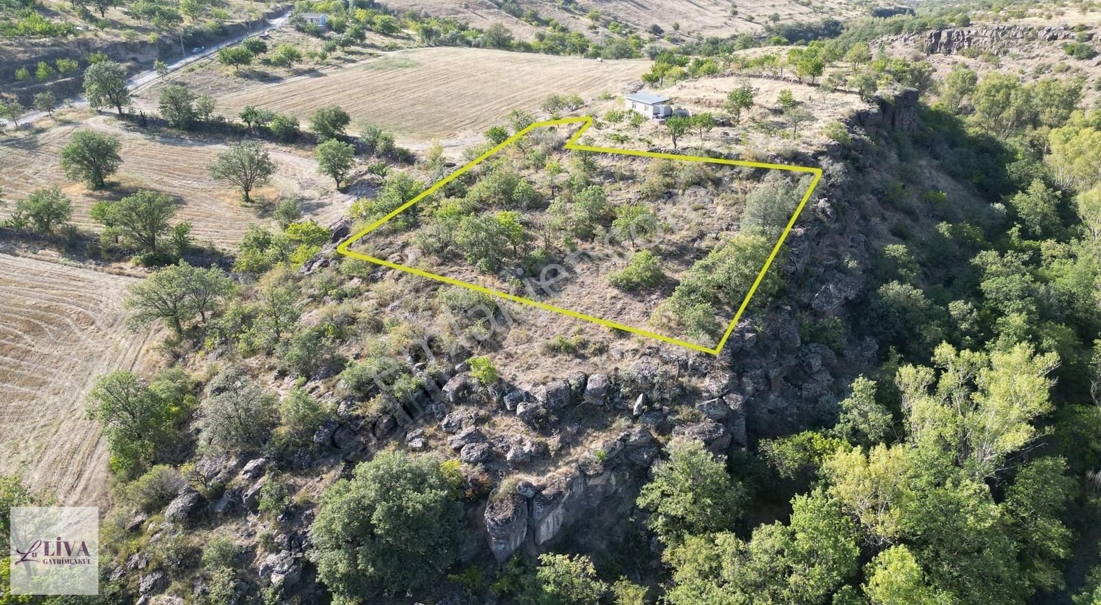 Liva'dan Reşadiye'de 846 M² Hisseli Bağ - Görsel 4