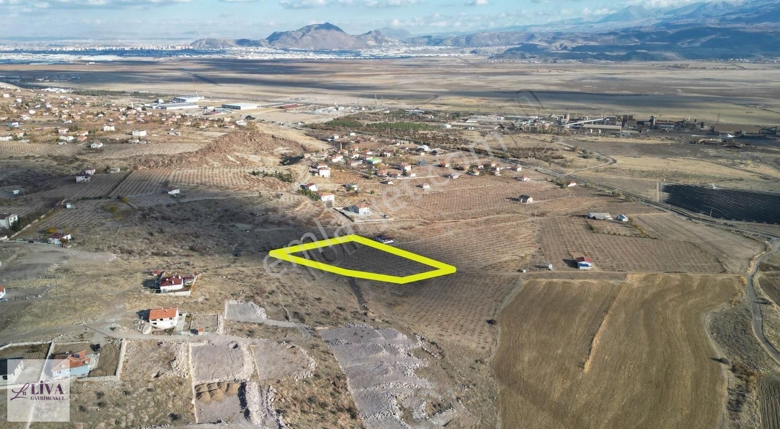 Liva'dan İncesu Hamurcu'da 7791 M² Harika Konumda Bağ - Görsel 4