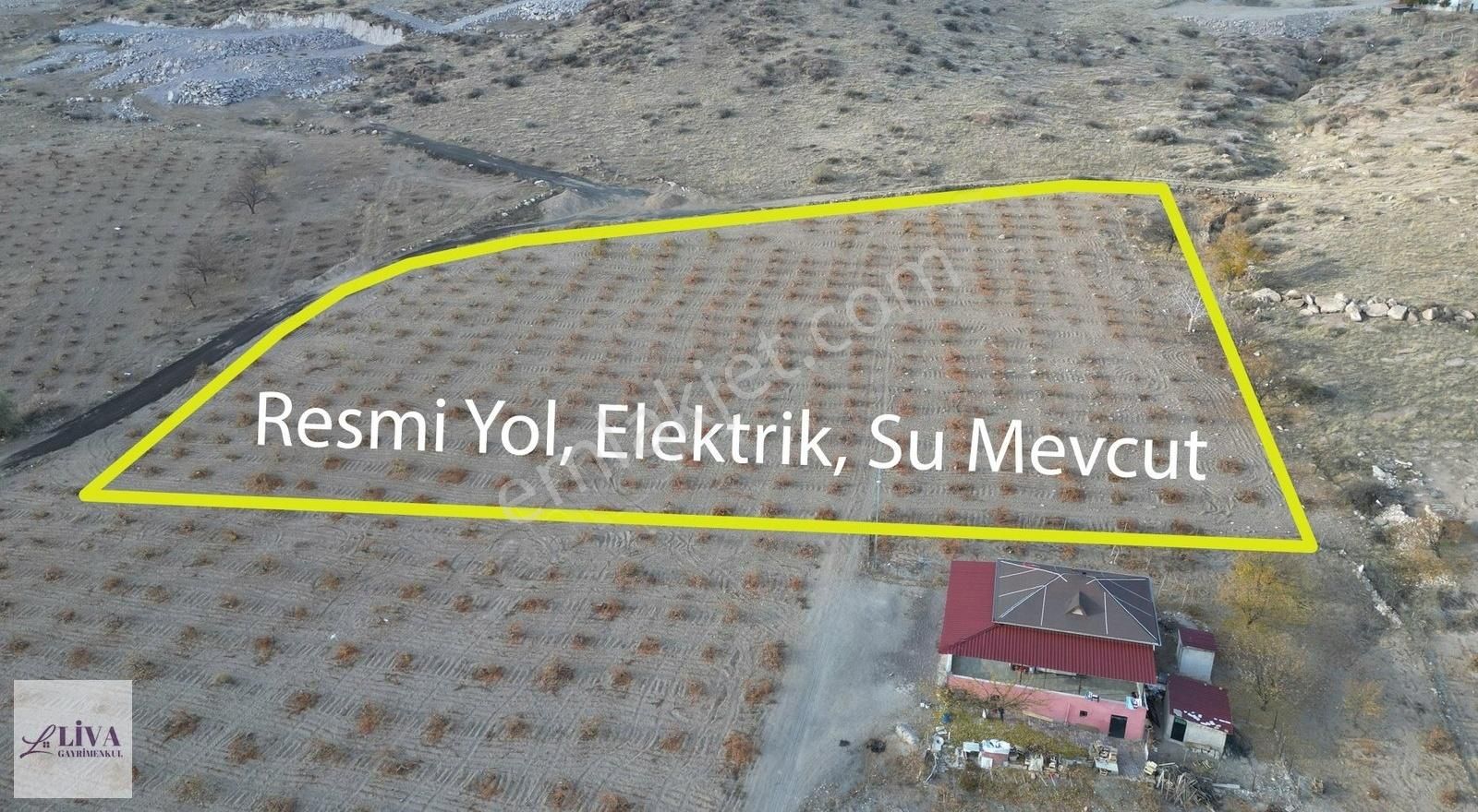 Liva'dan İncesu Hamurcu'da 7791 M² Harika Konumda Bağ - Görsel 3