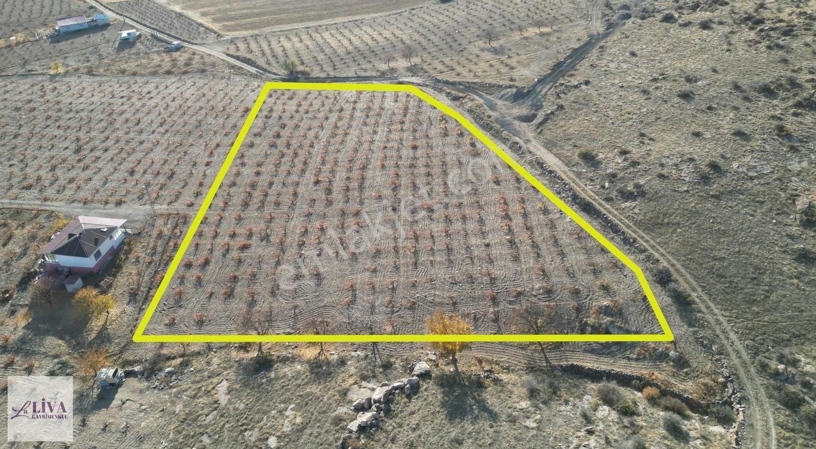 Liva'dan İncesu Hamurcu'da 7791 M² Harika Konumda Bağ - Görsel 16