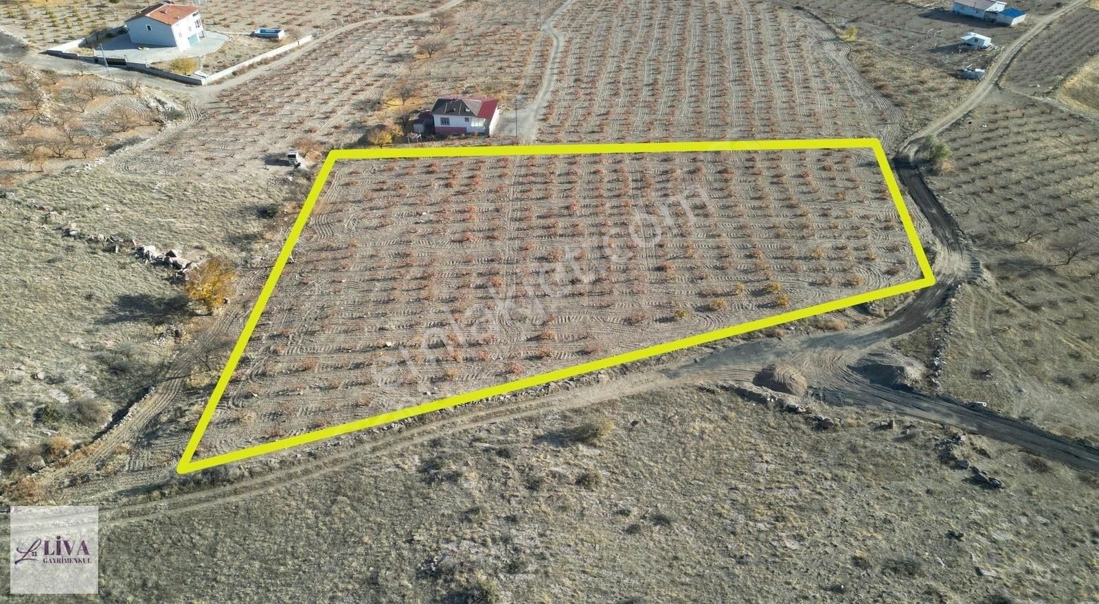 Liva'dan İncesu Hamurcu'da 7791 M² Harika Konumda Bağ - Görsel 10