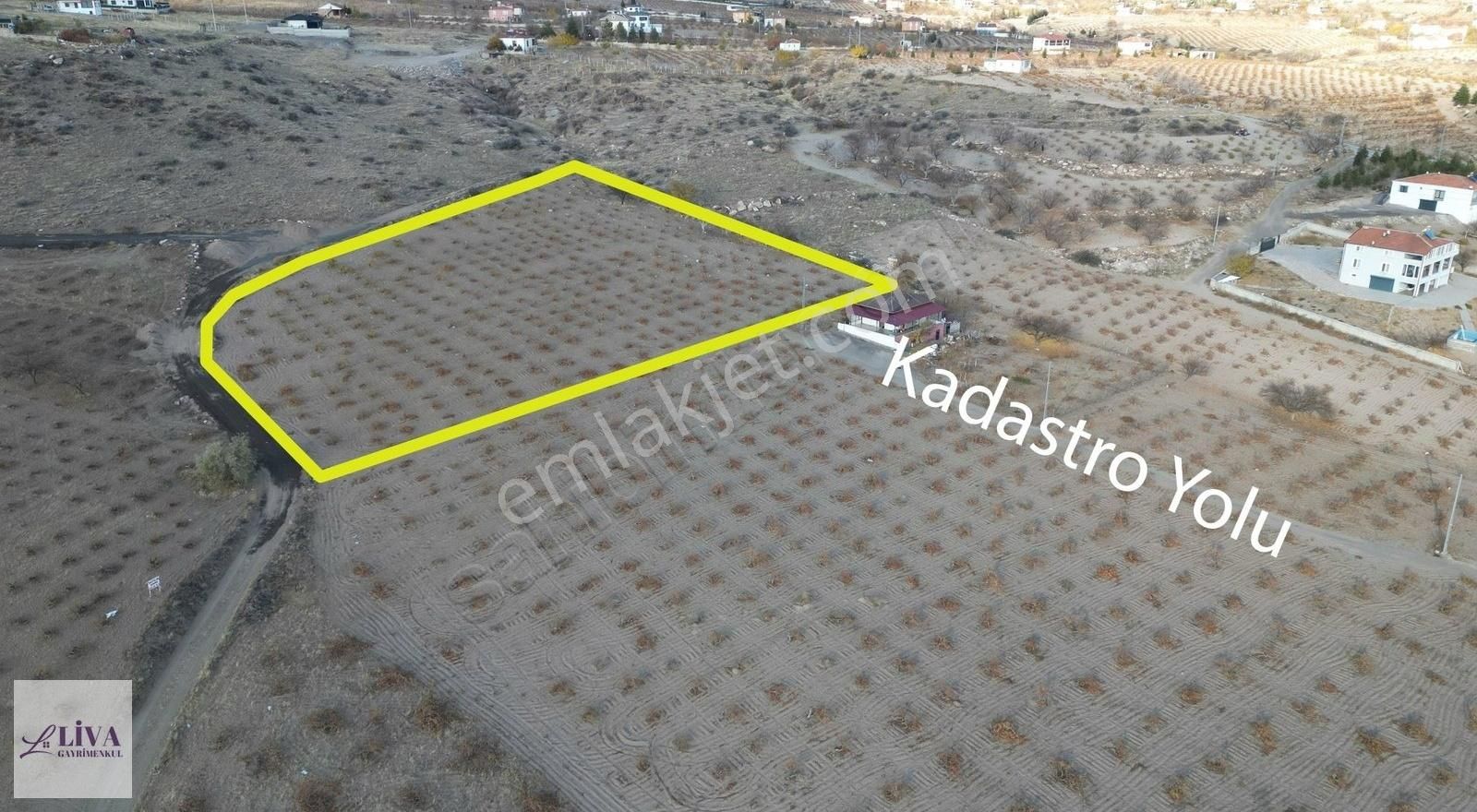 Liva'dan İncesu Hamurcu'da 7791 M² Harika Konumda Bağ - Görsel 2
