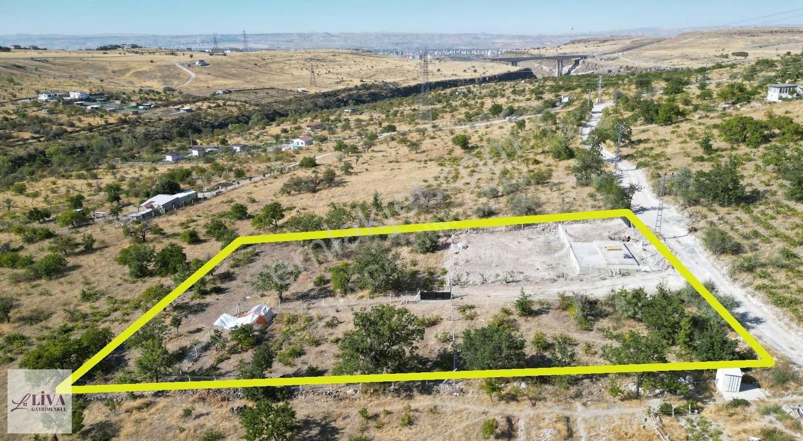 Liva'dan Reşadiye'de 571 M² Taksimli Harika Bağ - Görsel 8