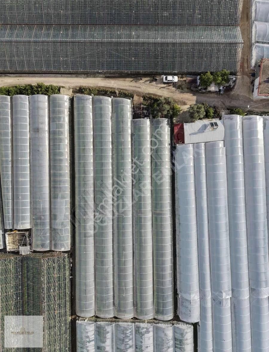 Oğuzlar Emlak'tan Antalya Demre'de Satılık 1802m2 Satılık Sera - Görsel 2