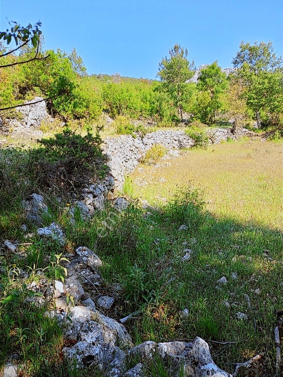 Trent Emlaktan Akseki Mahmutlu Köyünde 6191m² Satılık Tarla - Görsel 11