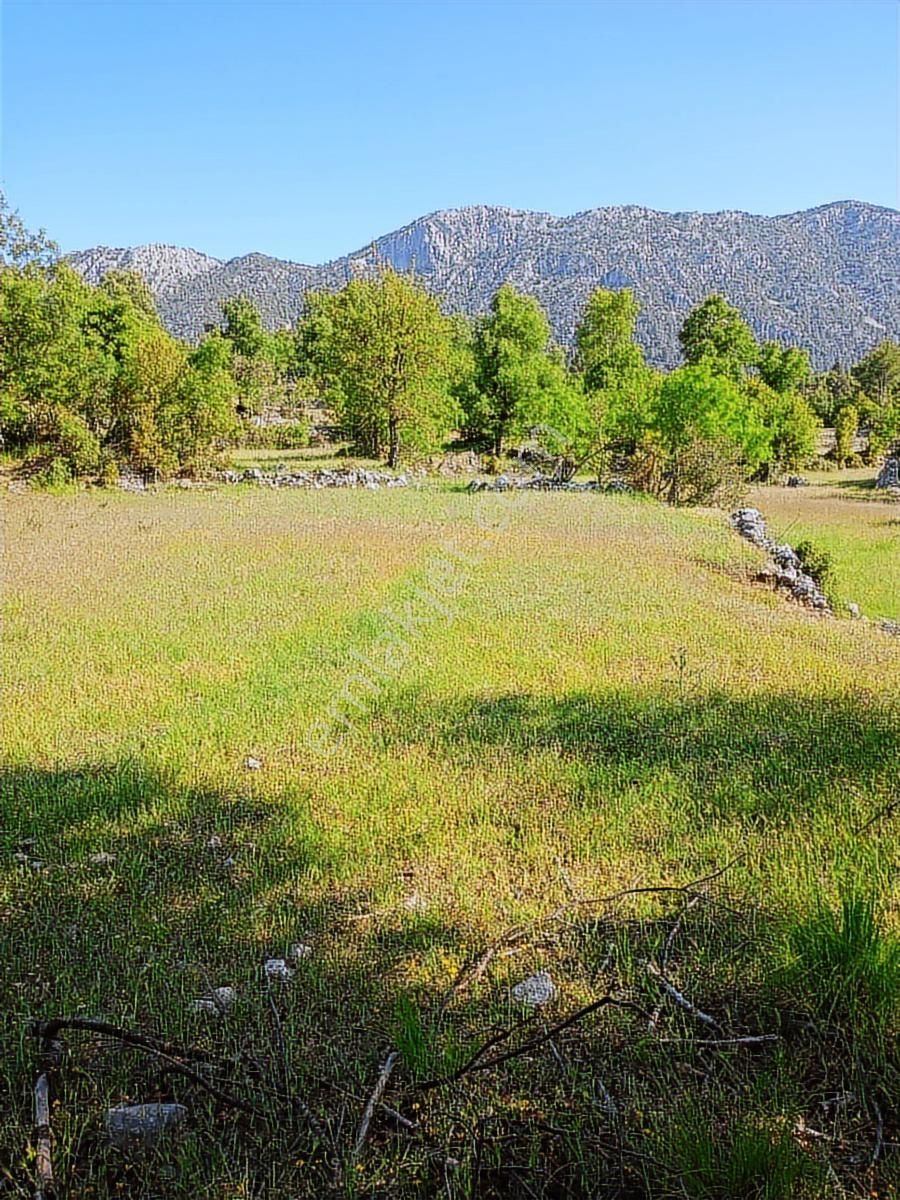 Trent Emlaktan Akseki Mahmutlu Köyünde 6191m² Satılık Tarla - Görsel 15