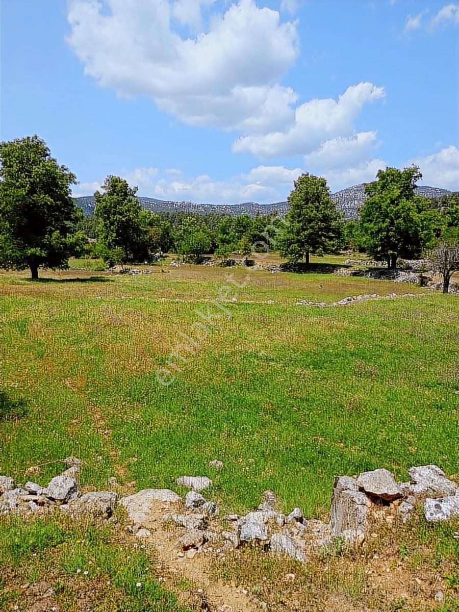 Trent Emlaktan Akseki Mahmutlu Köyünde 6191m² Satılık Tarla - Görsel 8