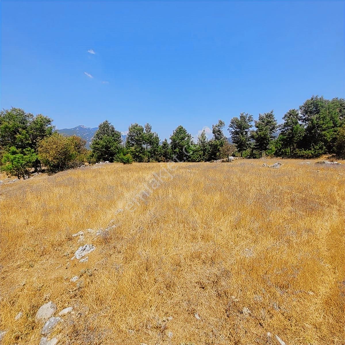 Trent Emlaktan Akseki Mahmutlu Köyünde 1167m² Satılık Tarla - Görsel 10