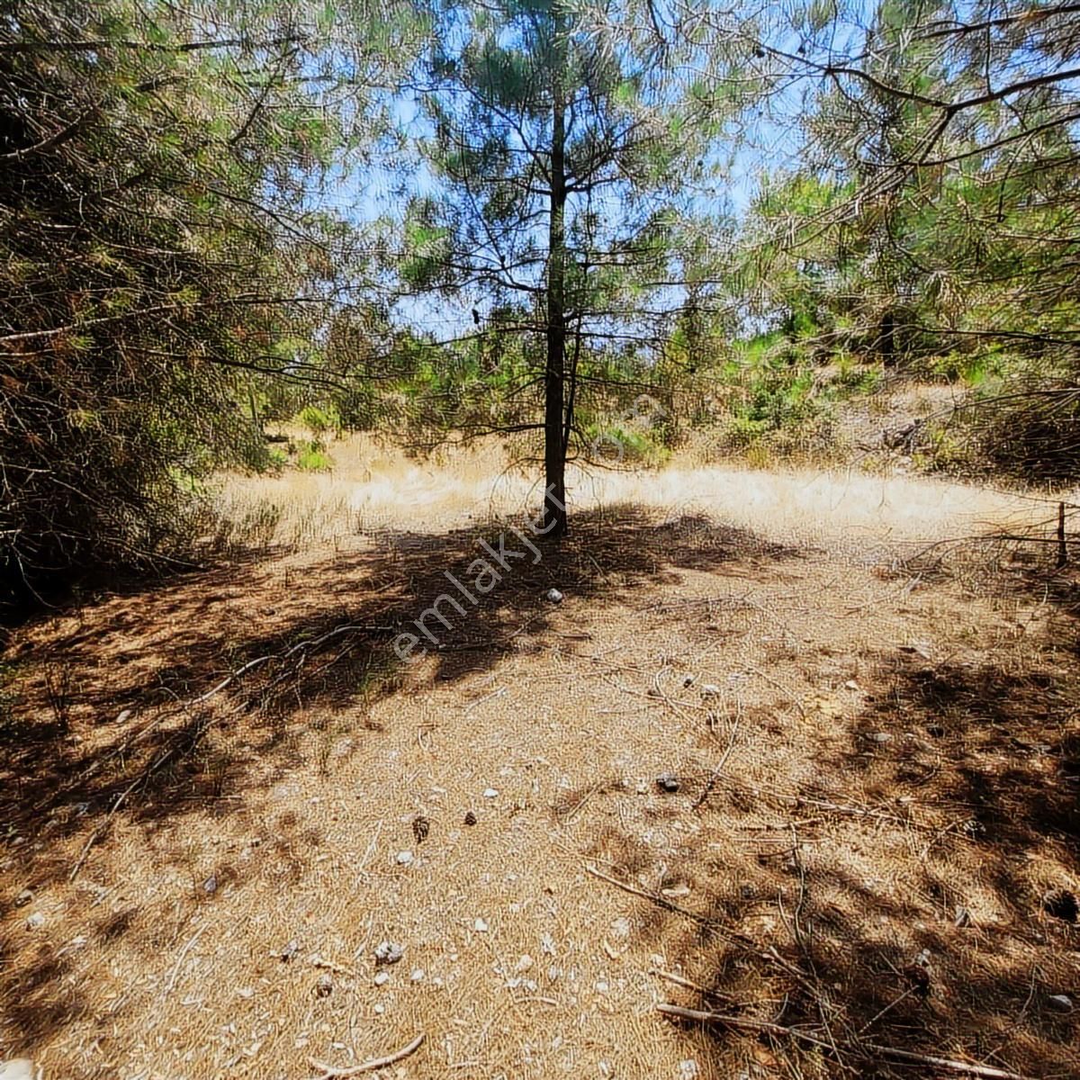 Trent Emlaktan Akseki Erenyaka'da 990m²tarla - Görsel 7