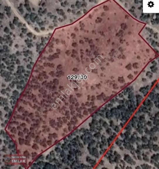 İzmir/dikili/yenice'de Satılık Zeytinlik