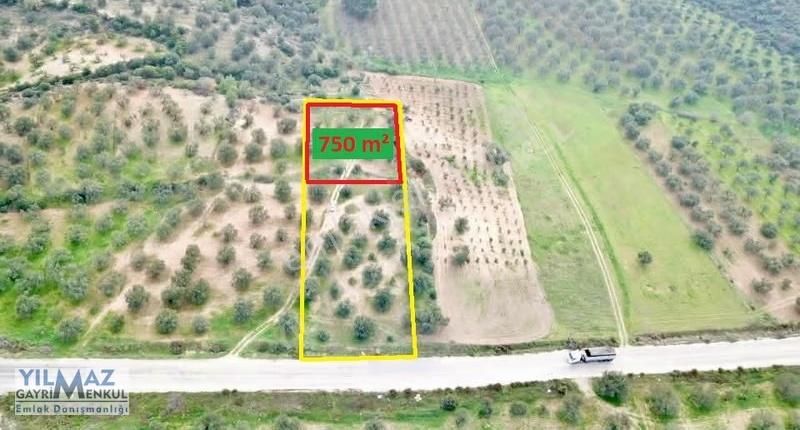 Zeytindağ'da Asfalt Yola Sıfır Satılık Zeytinlik - Görsel 12