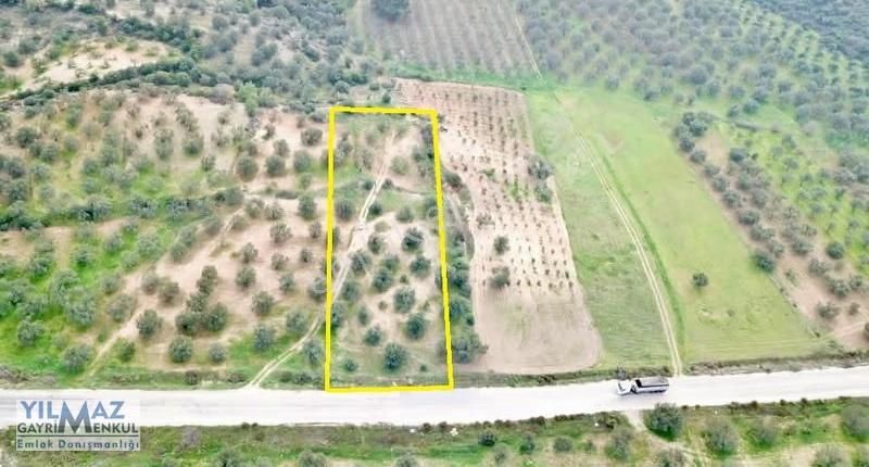 Zeytindağ'da Asfalt Yola Sıfır Satılık Zeytinlik - Görsel 16