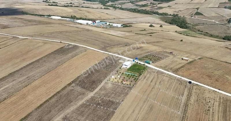 Büyüksineklide Yaz Kış Yolu Başında İçinde Çardağıyla 467m2 - Görsel 6