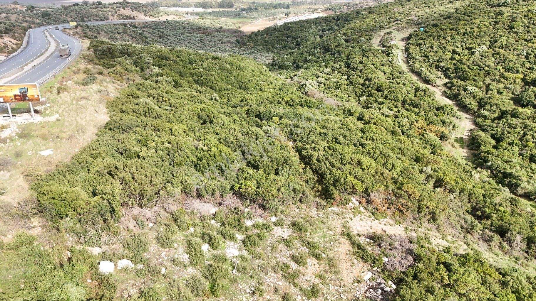 Didim Bozsekide Satılık 1 Dönüm Arsa - Görsel 3