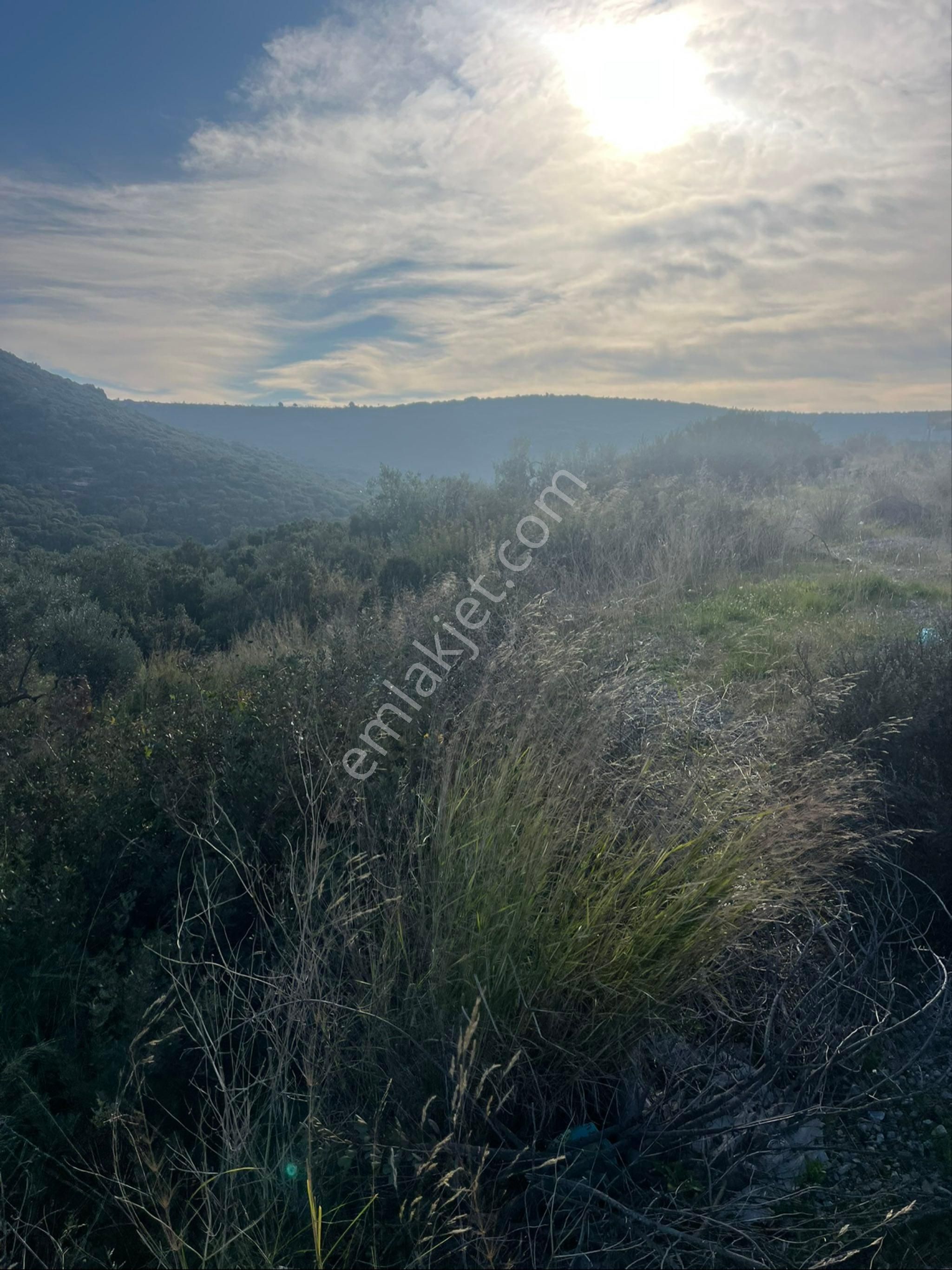 Didim Bozsekide Satılık 1 Dönüm Arsa - Görsel 8