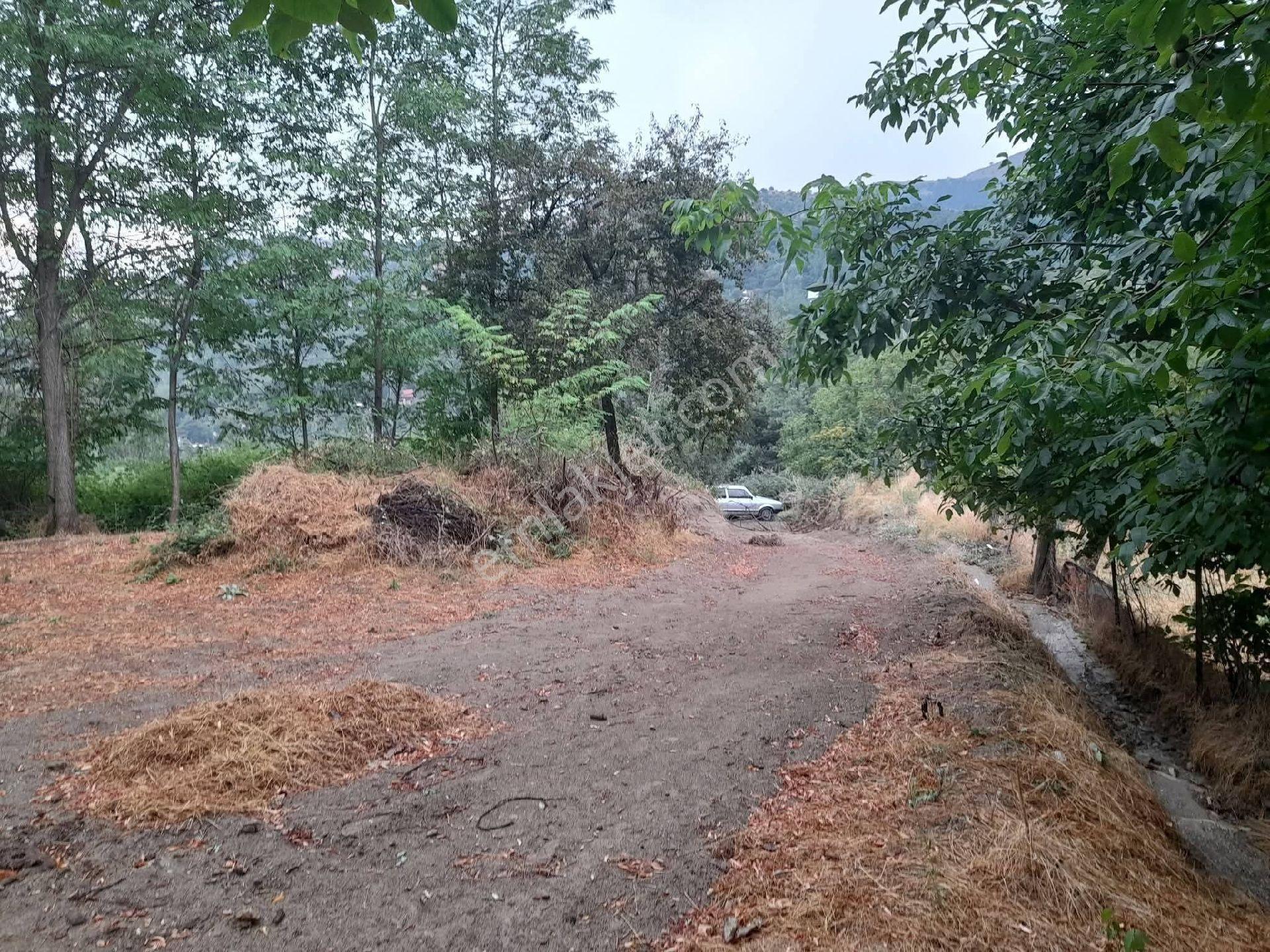 Mirac Emlaktan 780 M2 Babadag Da Hobi Bahçemiz Satılıktır - Görsel 10