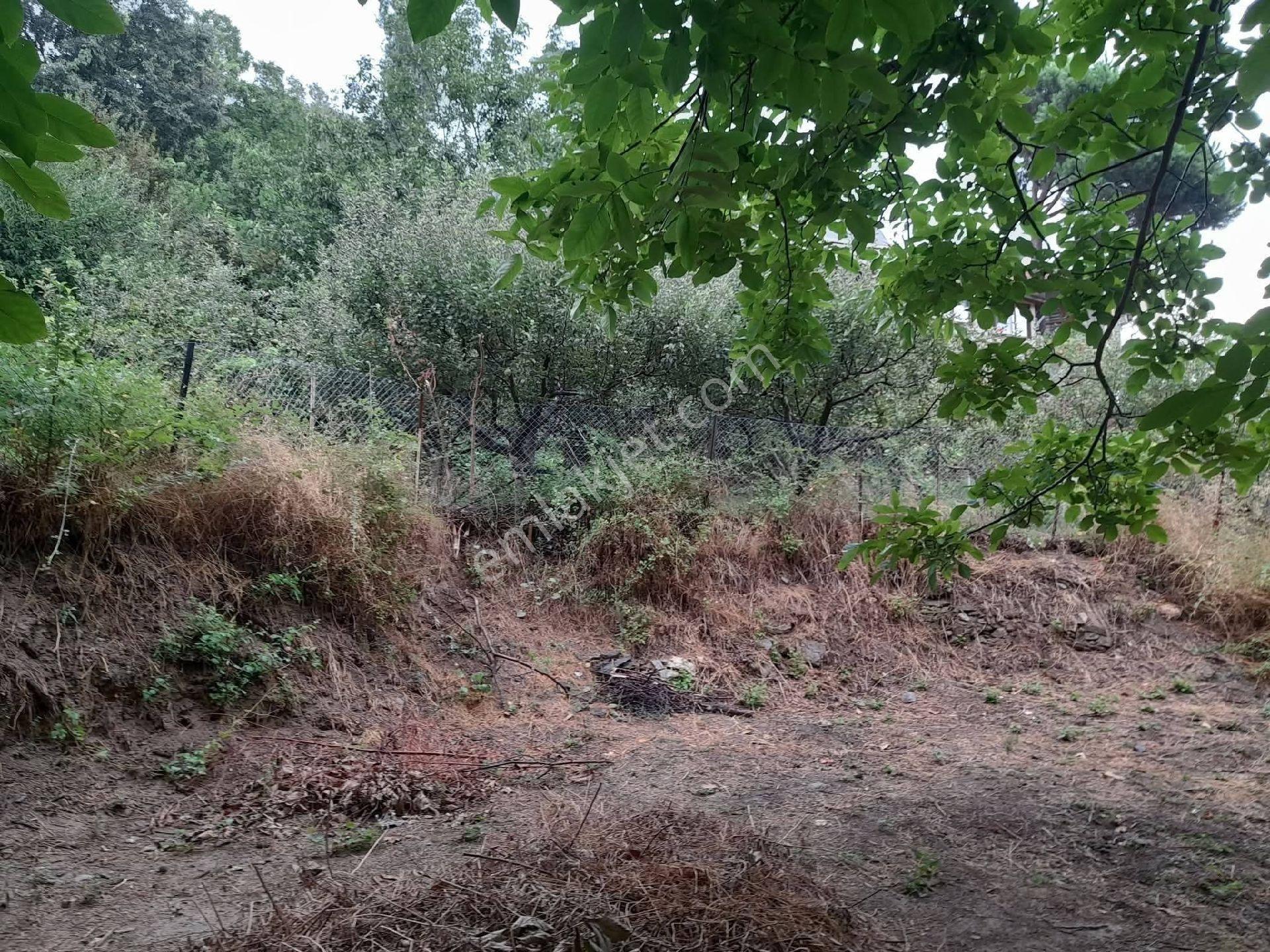 Mirac Emlaktan 780 M2 Babadag Da Hobi Bahçemiz Satılıktır - Görsel 5