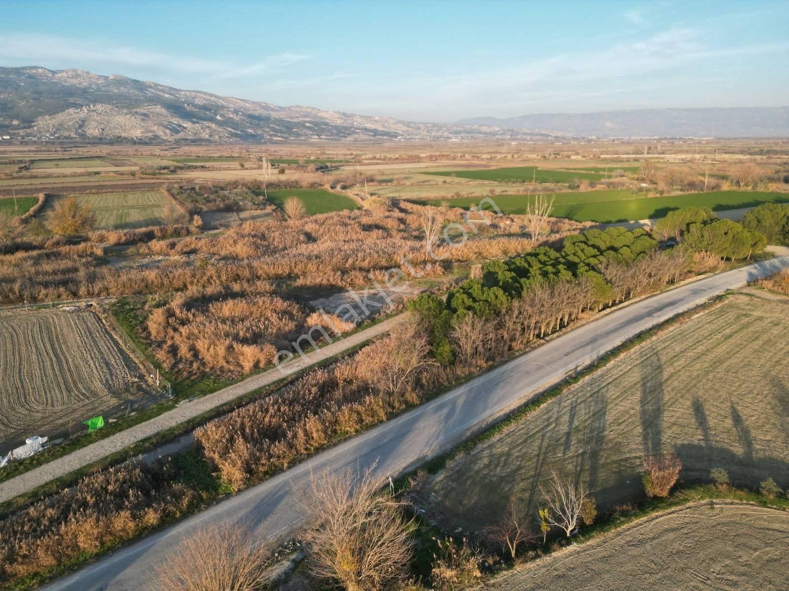 Mirac Emlaktan Hasköy De 12500 M2 Arazimiz Satılıktır - Görsel 6