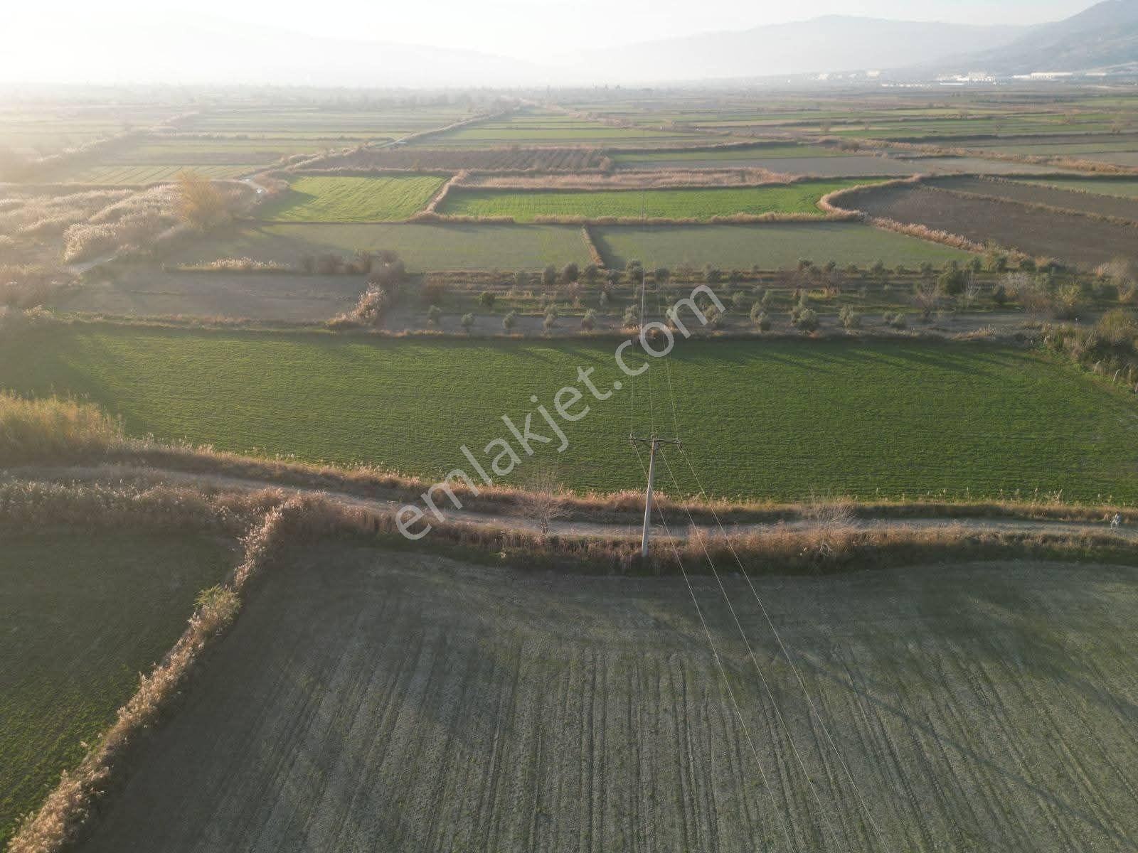 Mirac Emlaktan Hasköy De 12500 M2 Arazimiz Satılıktır - Görsel 3