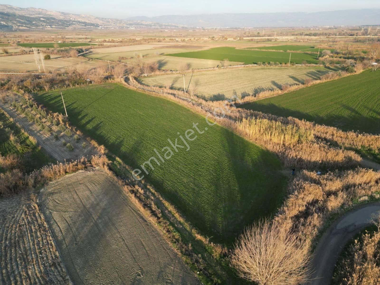 Mirac Emlaktan Hasköy De 12500 M2 Arazimiz Satılıktır - Görsel 2