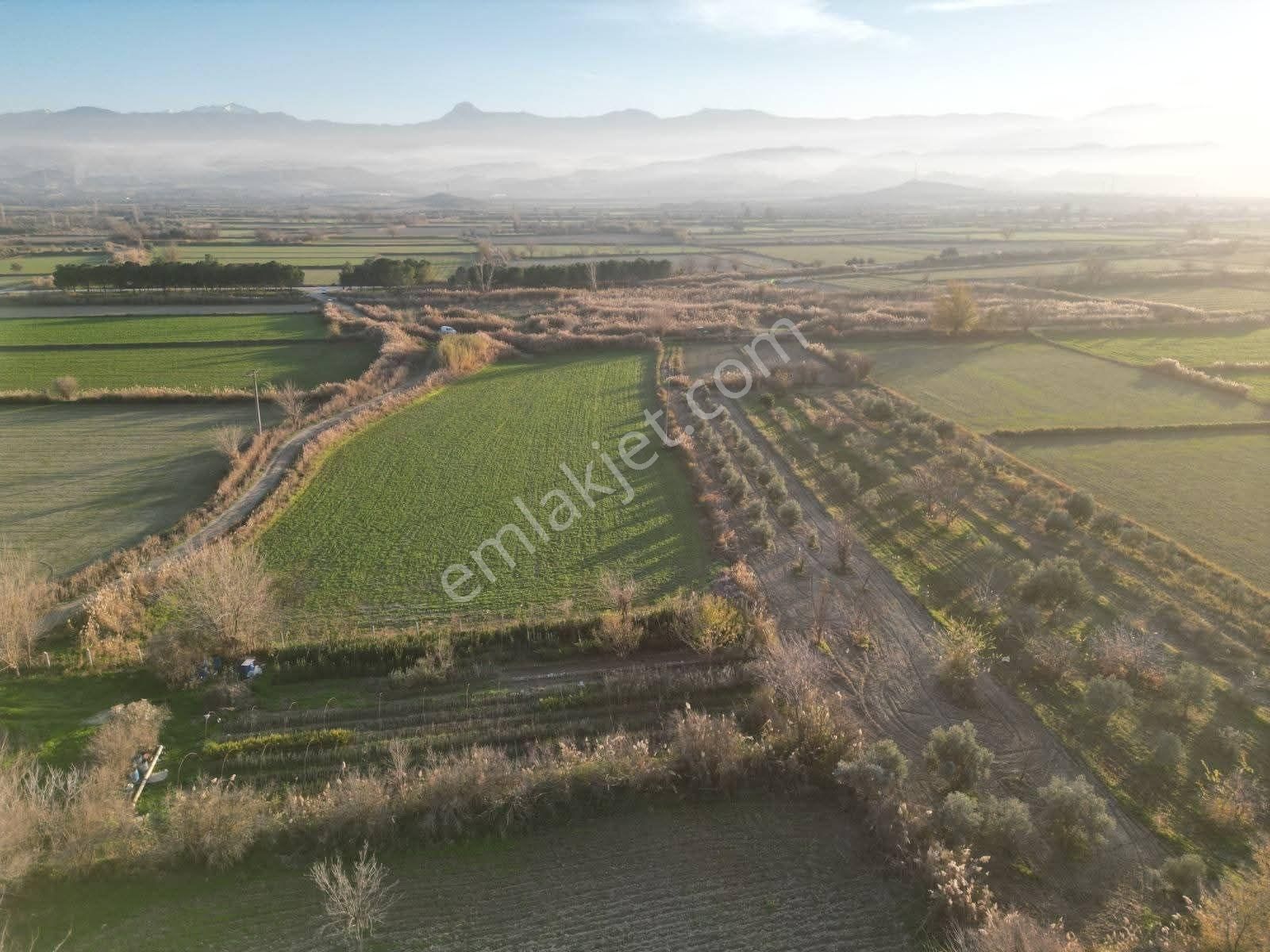 Mirac Emlaktan Hasköy De 12500 M2 Arazimiz Satılıktır - Görsel 5
