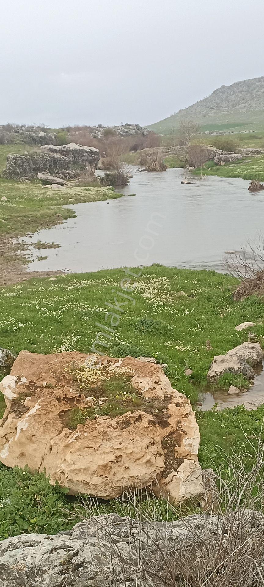 Fırsat!!! Turistik Hilar Mağaraları Ve Çayönü Tepesi Mevkiinde Satılık Badem Bahçesi - Görsel 15