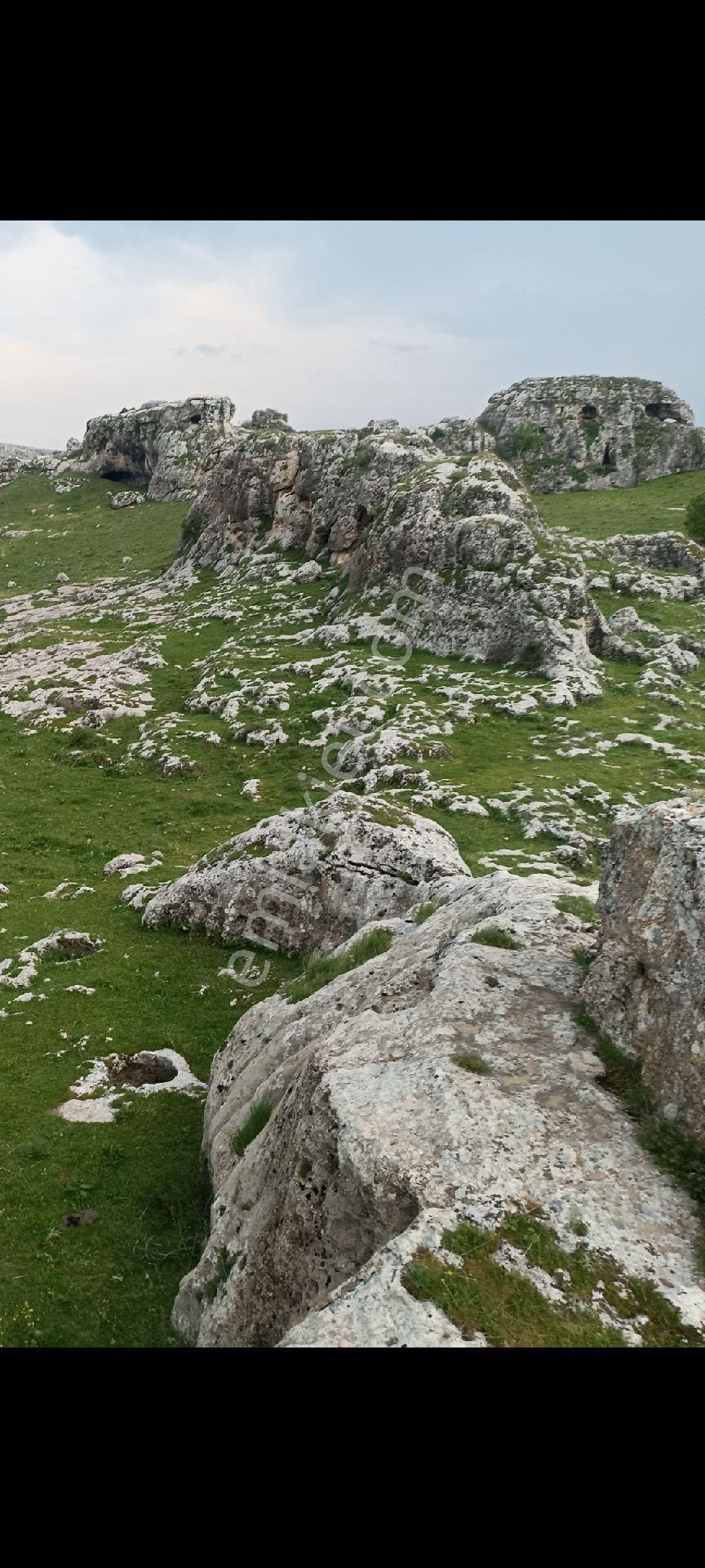 Fırsat!!! Turistik Hilar Mağaraları Ve Çayönü Tepesi Mevkiinde Satılık Badem Bahçesi - Görsel 25