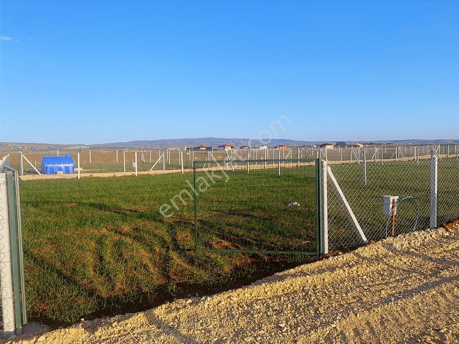İmir Emlak'tan Güldarp'ta 300m² Hobi Bahçeleri Havaalanı Yakını - Görsel 15