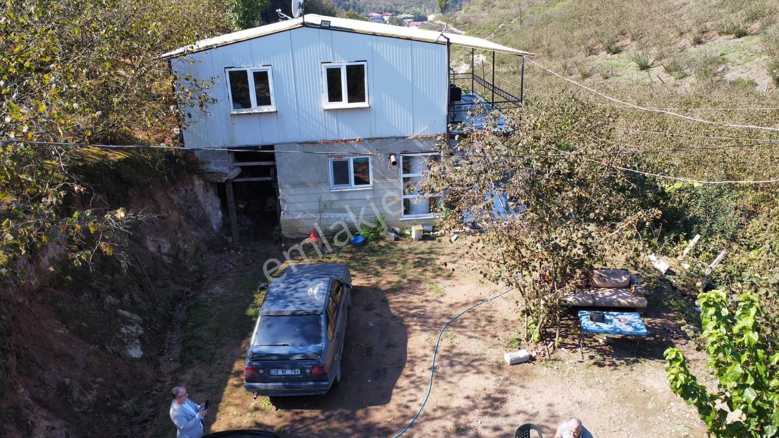 Sakarya Hendek Dereköy Satılık Fındık Bahçesi - Görsel 6