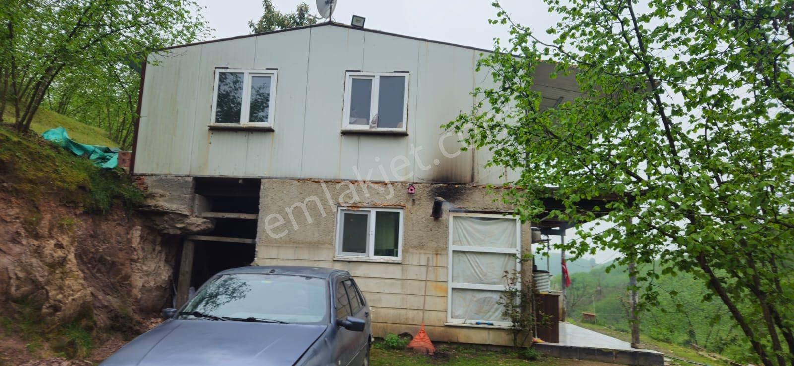 Sakarya Hendek Dereköy Satılık Fındık Bahçesi - Görsel 5