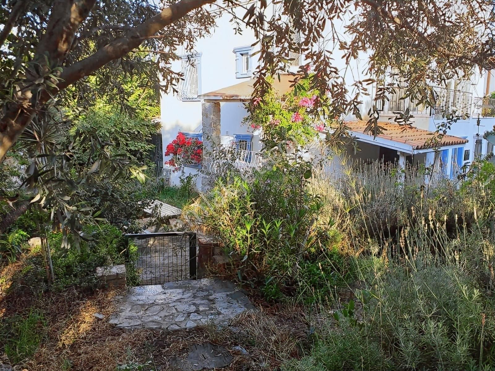 Century21 Den Fırsat. Kacmaz ! Gümüşlük'de Geniş Bahçeli Villa - Görsel 24