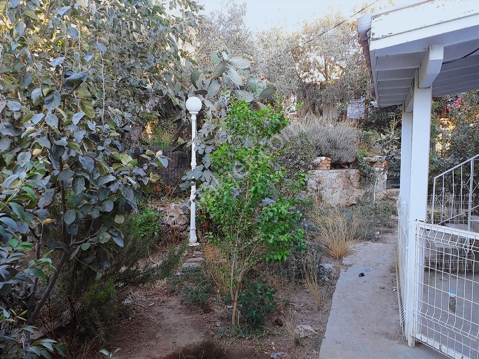 Century21 Den Fırsat. Kacmaz ! Gümüşlük'de Geniş Bahçeli Villa - Görsel 19