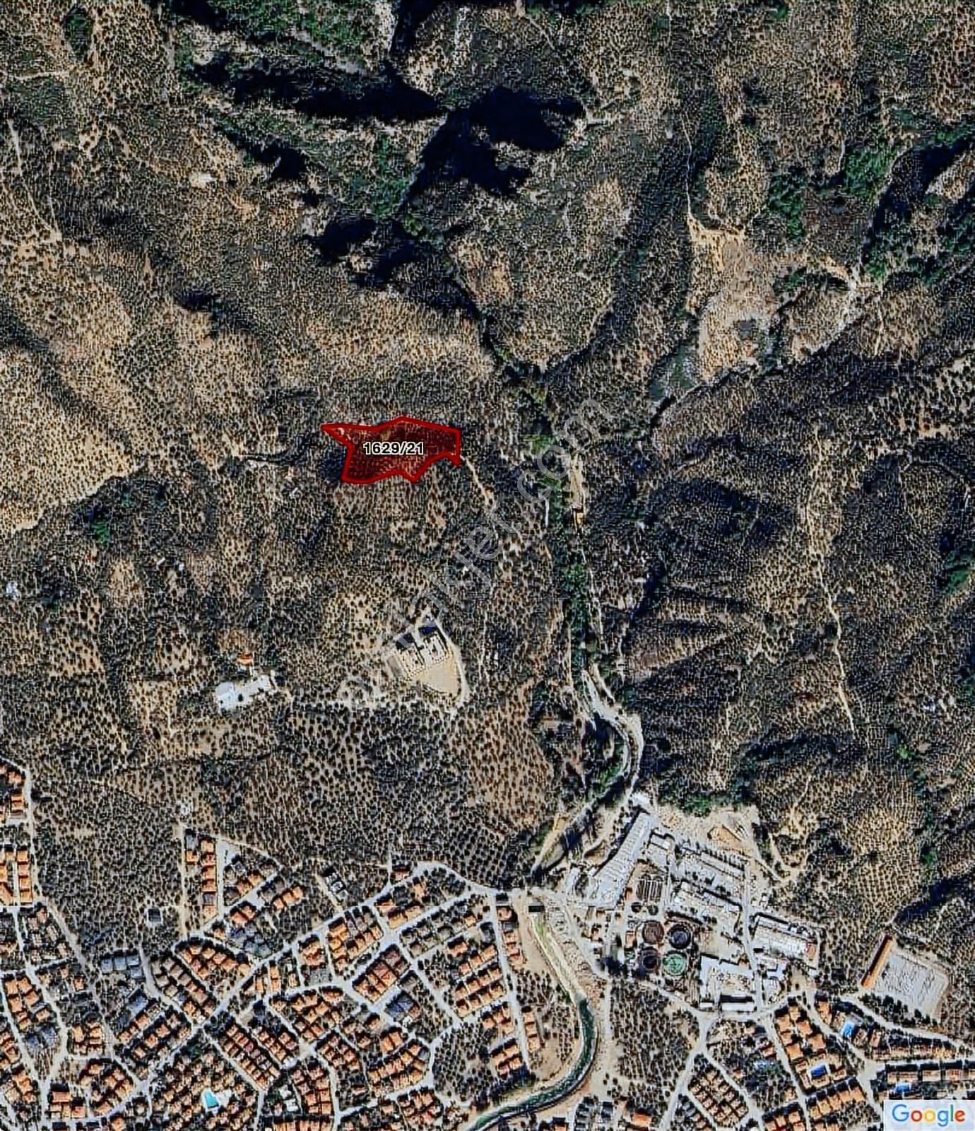 Altınoluk Merkezde 12.590 Kadastral Yolu Bulunan Zeytınlık - Görsel 3