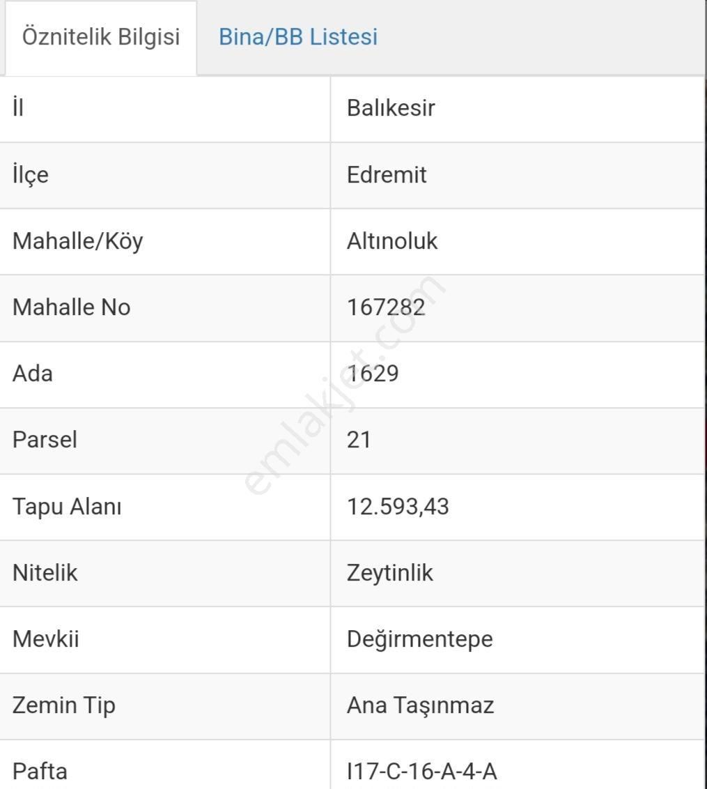 Altınoluk Merkezde 12.590 Kadastral Yolu Bulunan Zeytınlık