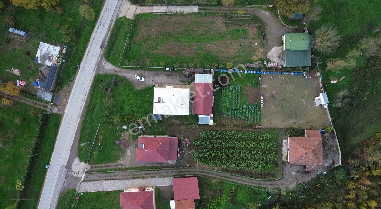 14-şeker Emlak Çakallık Mah.acil Satılık Uygun1800m2 Çiftlik Evi - Görsel 29