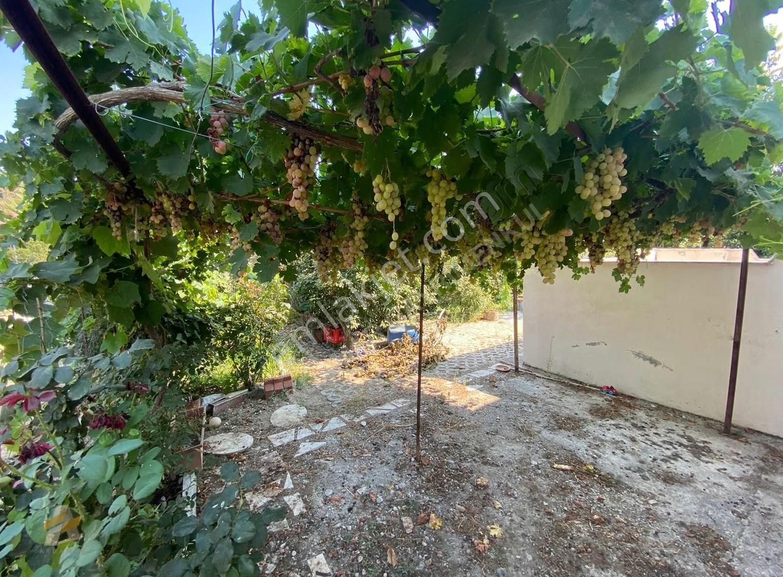 Yanıklarda Geniş Arazili Kupon Villa - Görsel 8