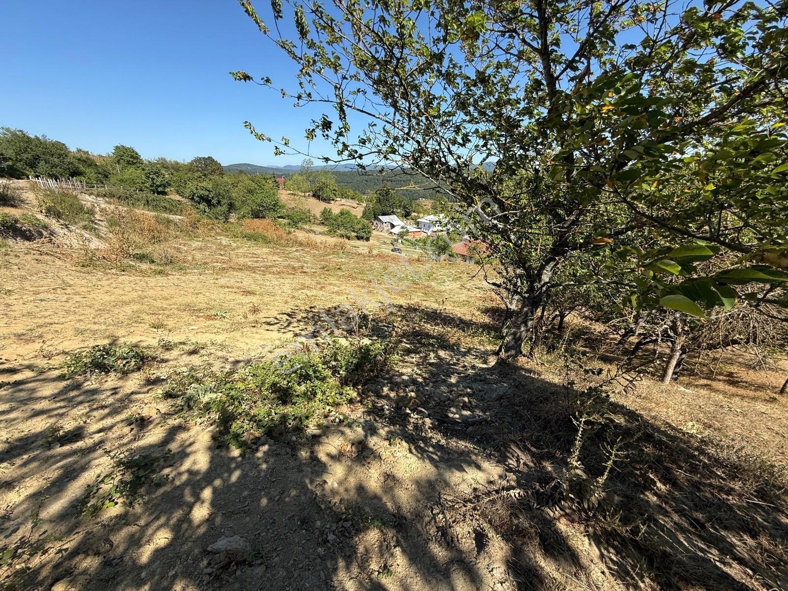 İznik Hacıosman'da Doğa Manzaralı, Havadar 323 M2 İmarlı Arsa - Görsel 19