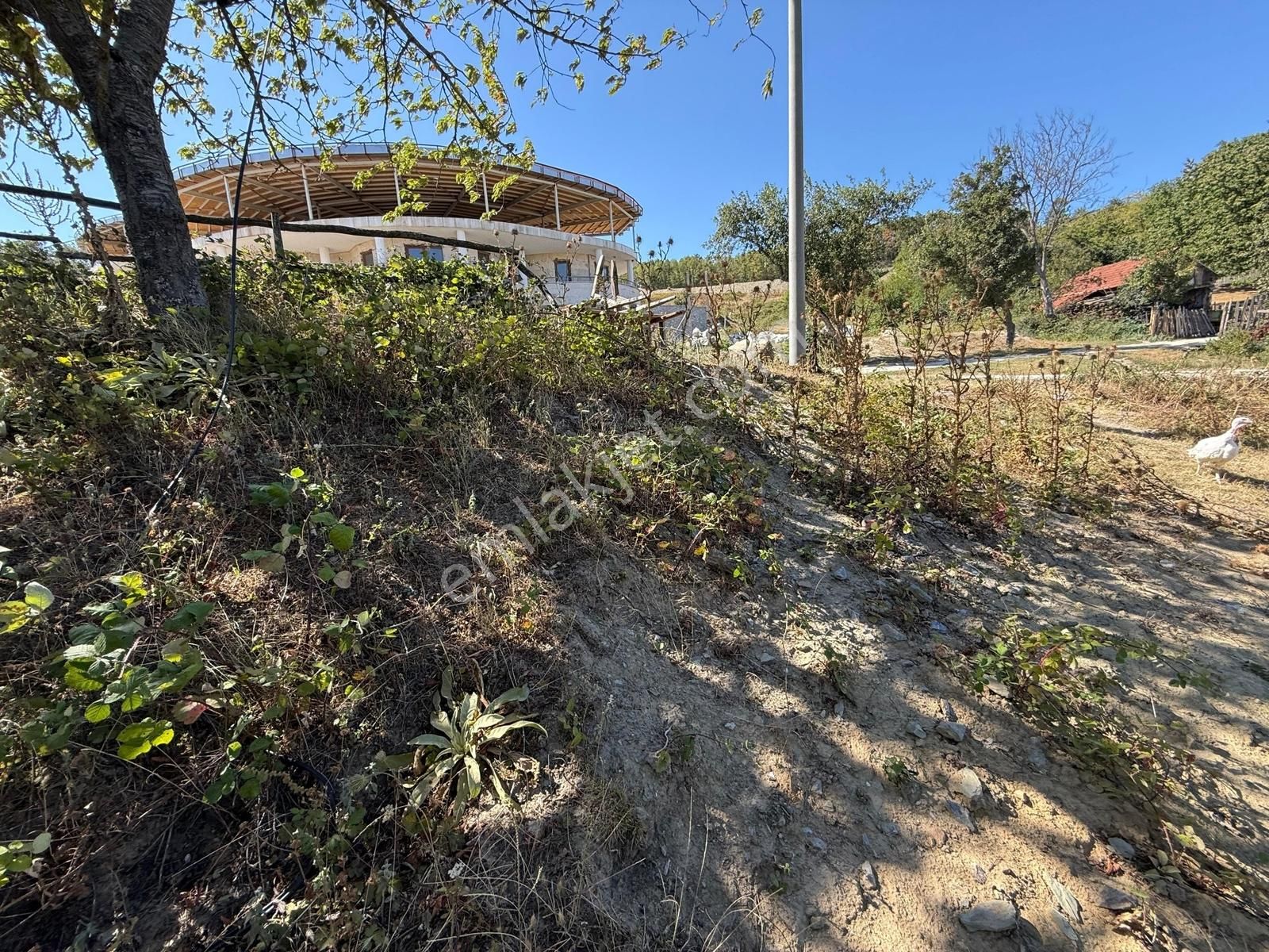 İznik Hacıosman'da Doğa Manzaralı, Havadar 323 M2 İmarlı Arsa - Görsel 30