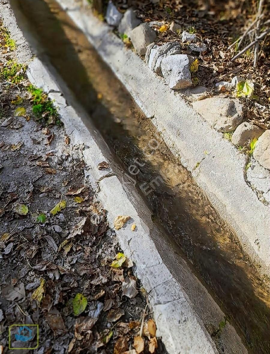Müstakil Kiralık Eval Gayrimenkul Den Bahçeli Lüks Ev