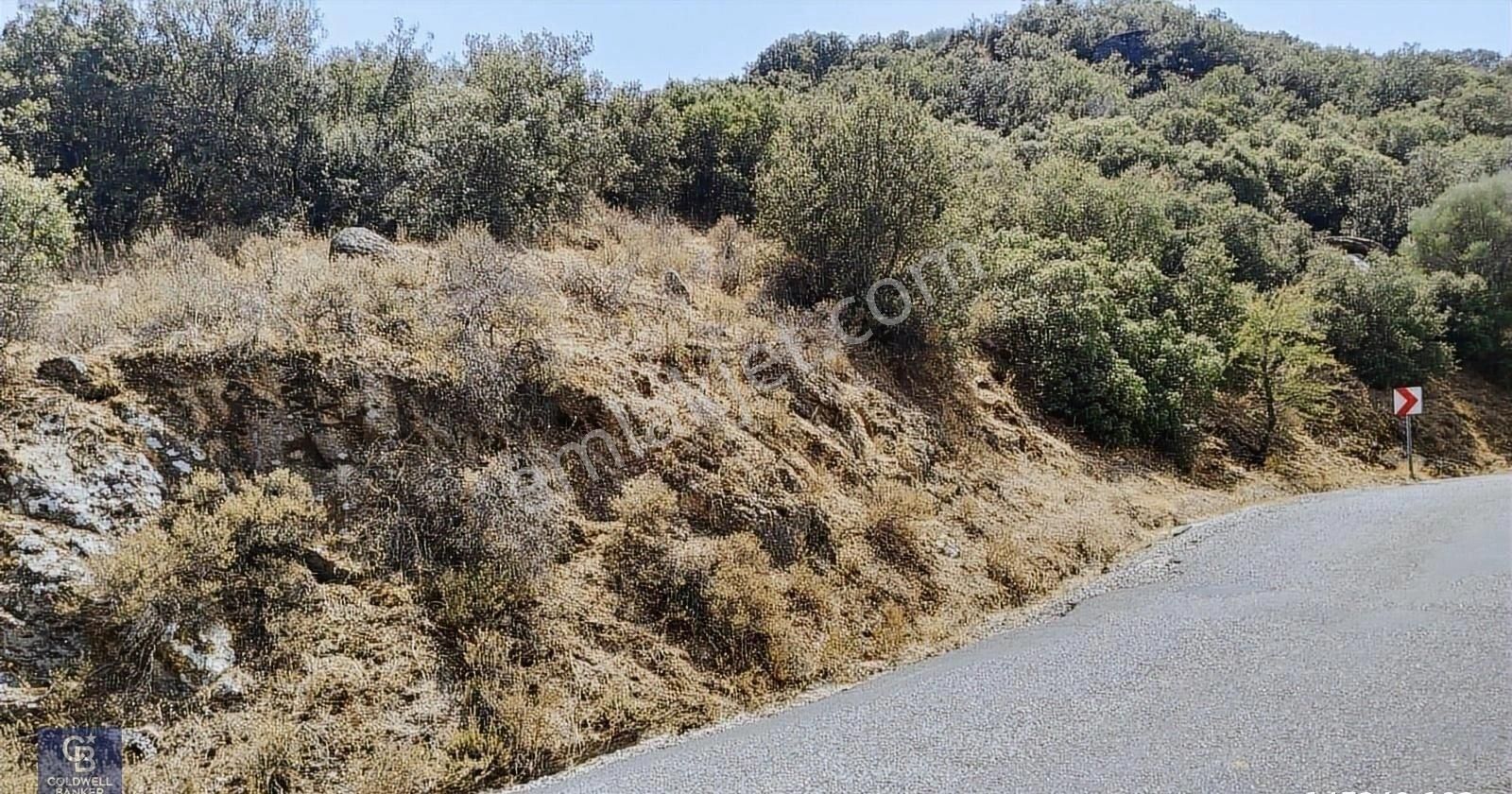 Yatağan Yavada Tarla Vasfında